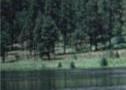 Camp3x1.jpg