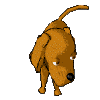 Maxbert