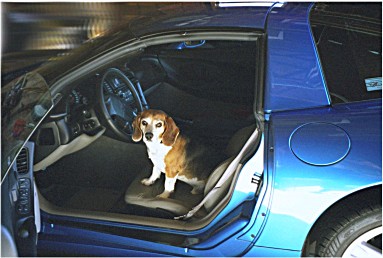 Max driving his Vette